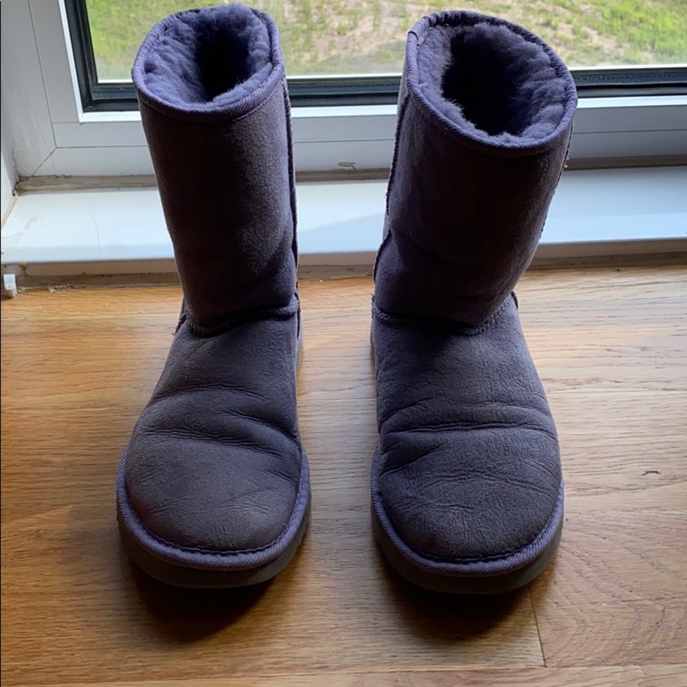 UGGS - Lilac Short Uggs - size 7